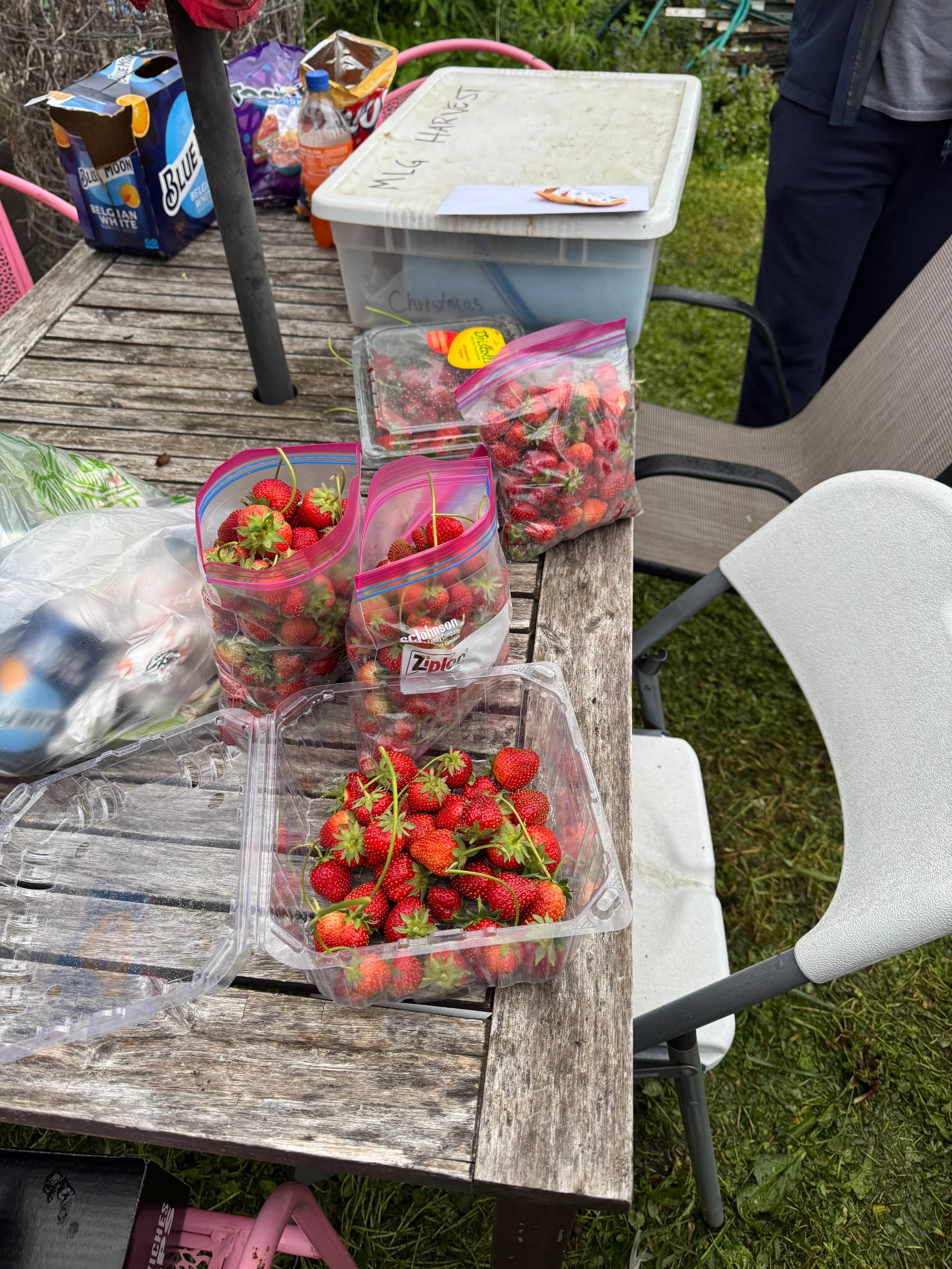 Meadowbrook Learning Garden 5